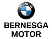 bernesga-motor-pichi