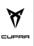 cupra-pichi
